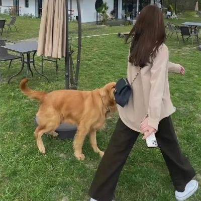 多愁善感的家伙